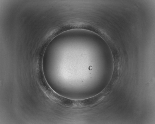 X0000081350591200701111457