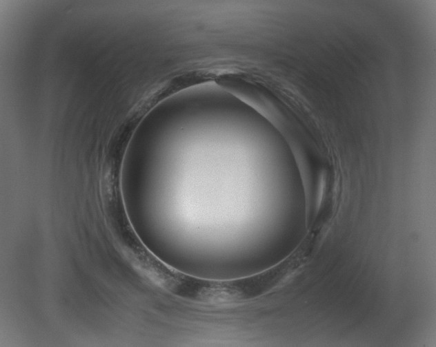 X0000081350597200701111457