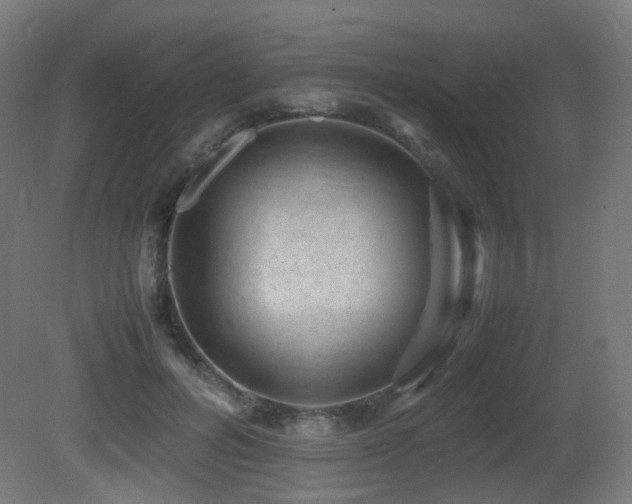 X0000081350600200701111457
