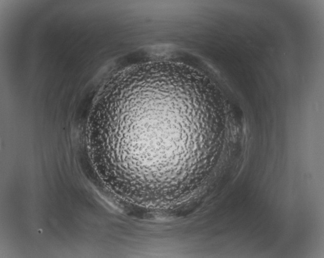 X0000081350601200701111457