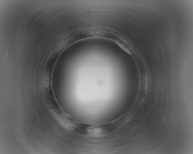 X0000081350602200701111457