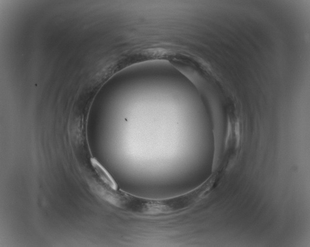 X0000081350605200701111457