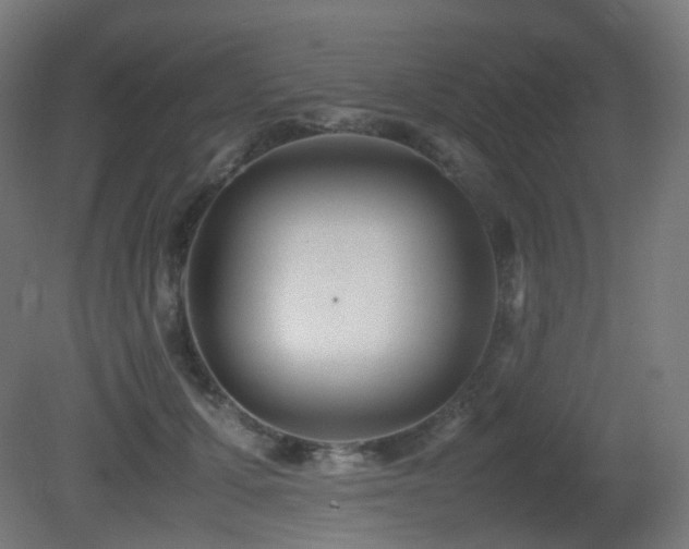 X0000081350607200701111457