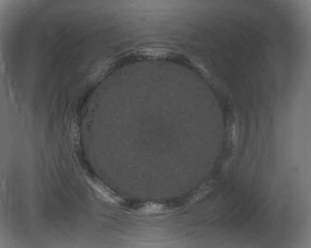 X0000081350609200701111457
