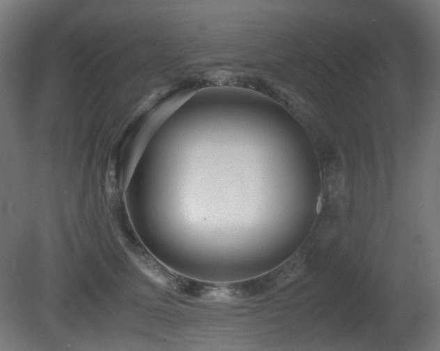 X0000081350611200701111457