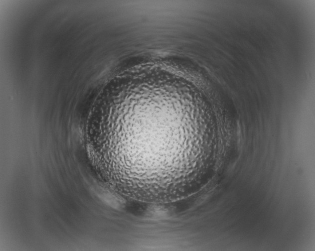 X0000081350613200701111457