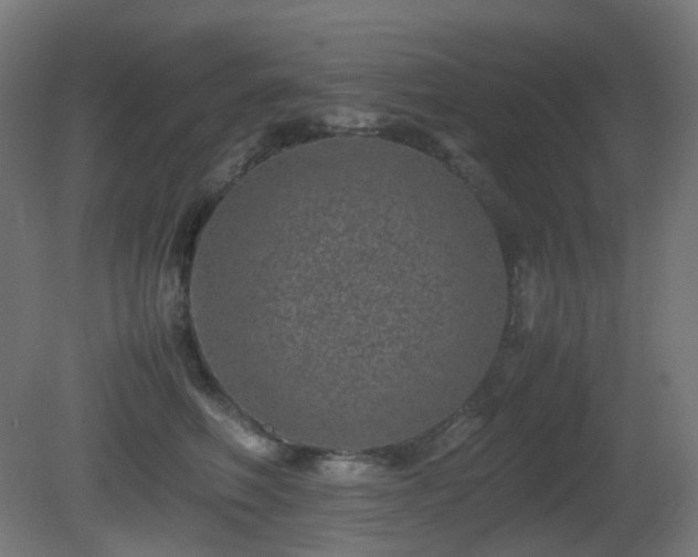 X0000081350614200701111457