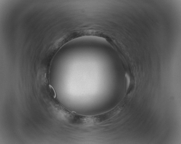 X0000081350615200701111457