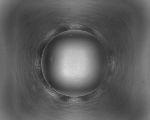 X0000081350619200701111457