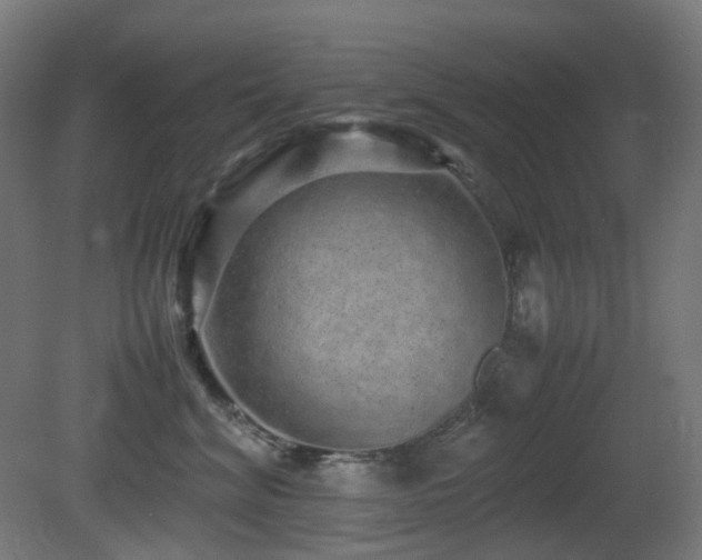 X0000081350620200701111457