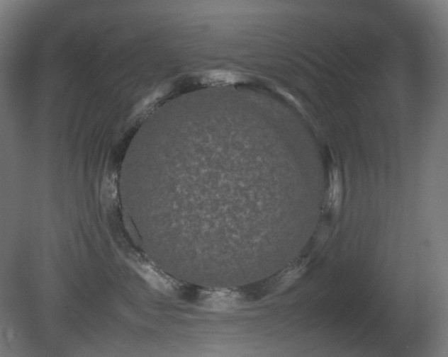 X0000081350621200701111457