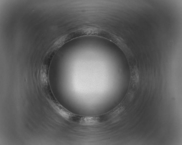 X0000081350622200701111457