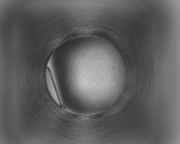 X0000081350624200701111456