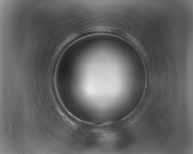 X0000081350625200701111456