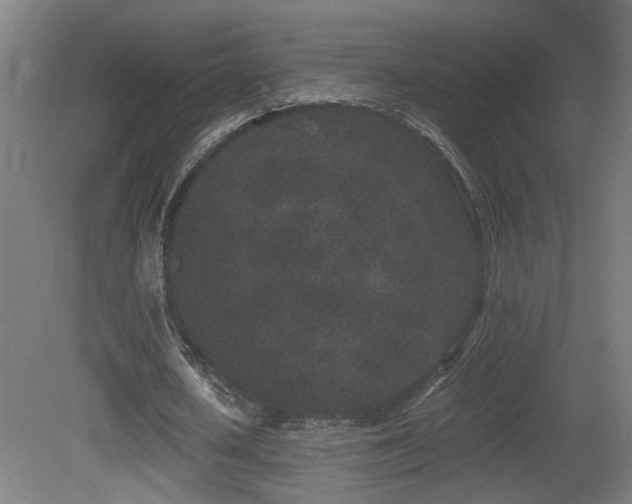 X0000081350626200701111456