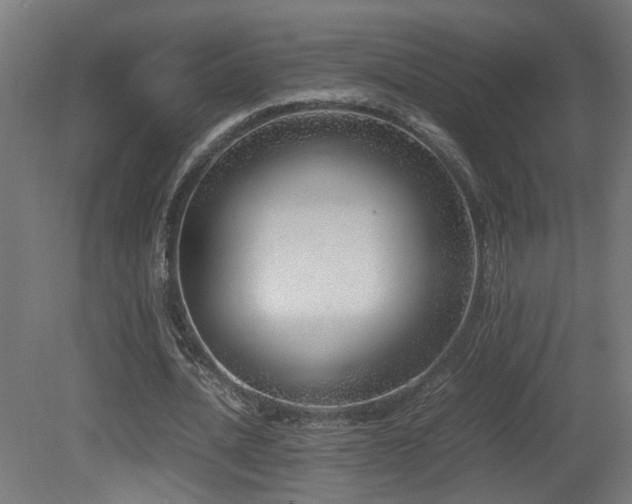X0000081350628200701111456