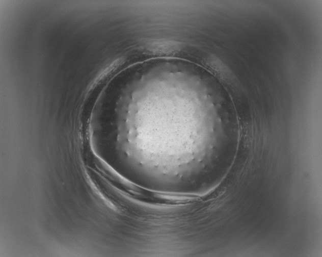 X0000081350634200701111456