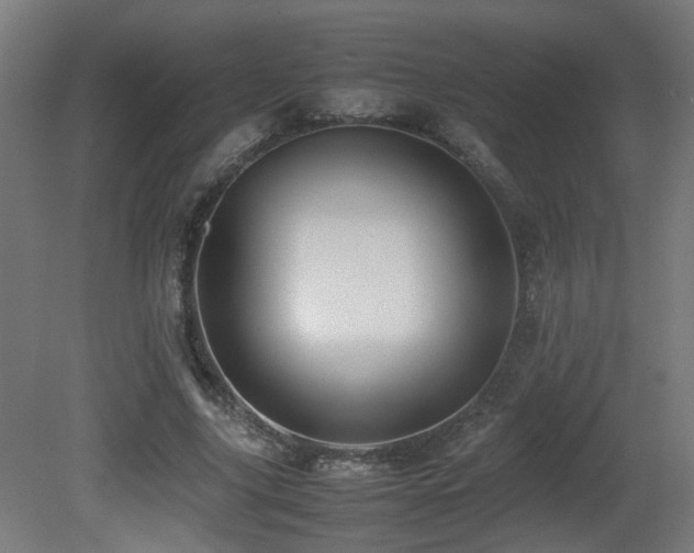 X0000081350635200701111456