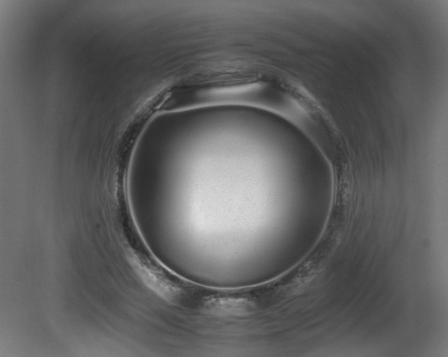 X0000081350637200701111456