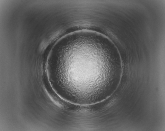 X0000081350638200701111456
