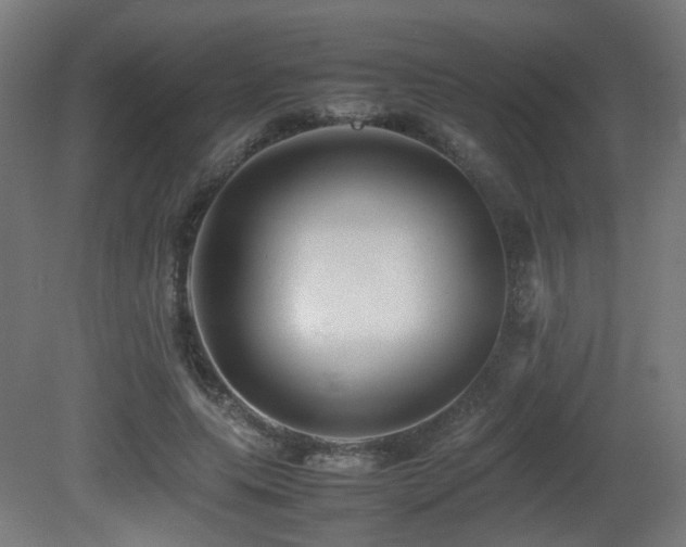 X0000081350639200701111456