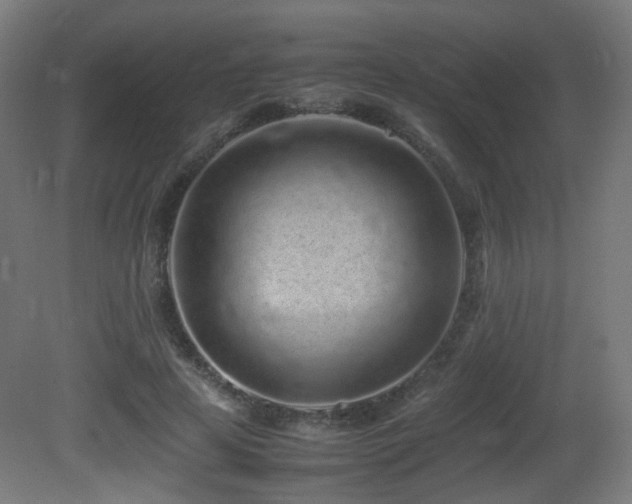 X0000081350641200701111456