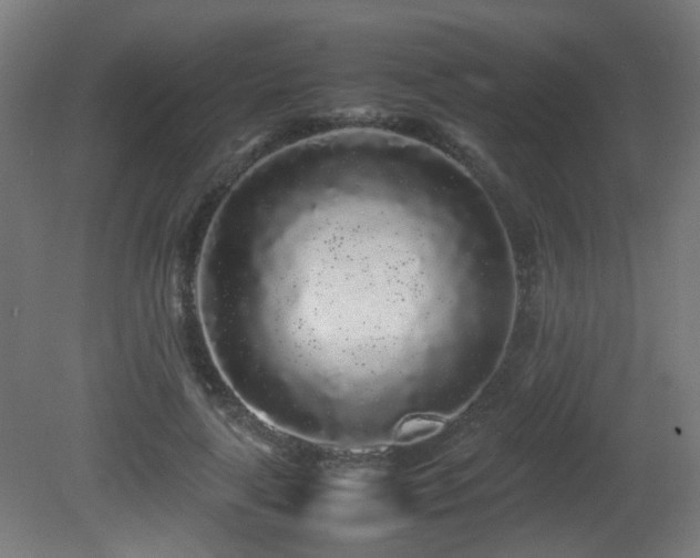 X0000081350643200701111456