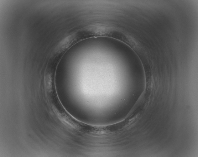 X0000081350646200701111456