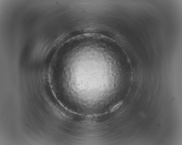 X0000081350648200701111456