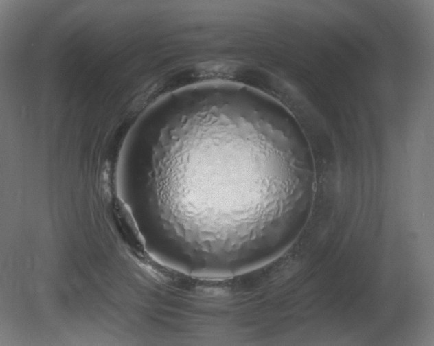 X0000081350649200701111456