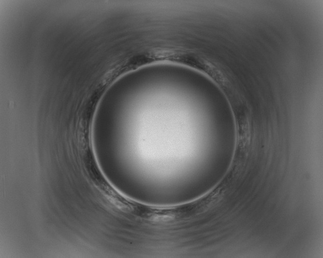 X0000081350653200701111456