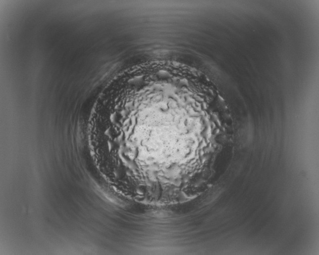 X0000081350654200701111456