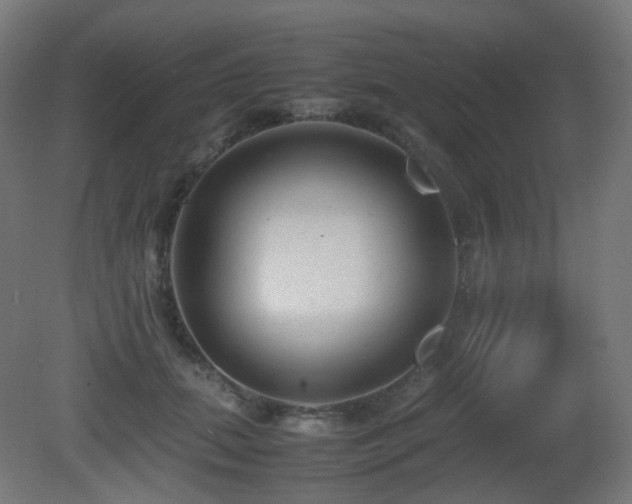 X0000081350655200701111456