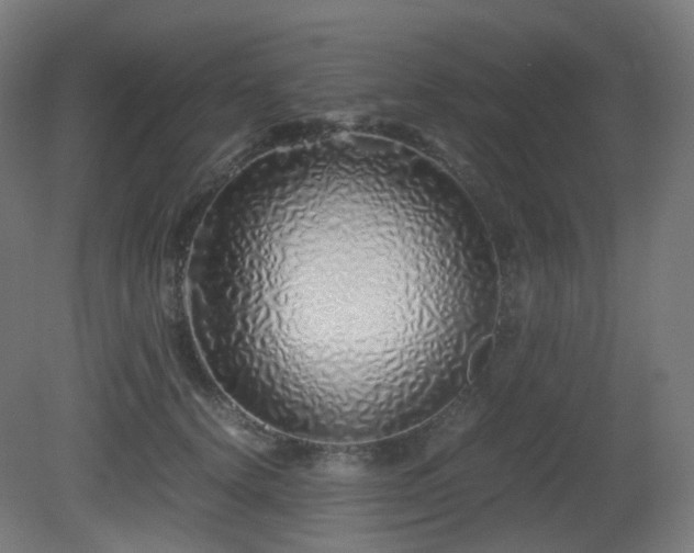 X0000081350656200701111456