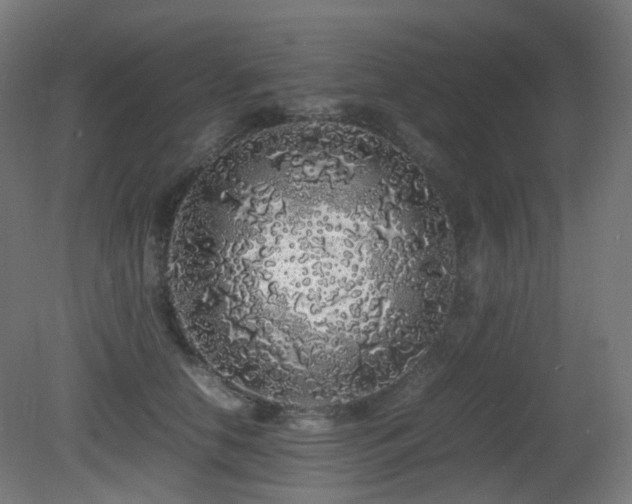 X0000081350658200701111456