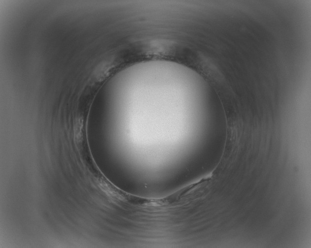 X0000081350660200701111456