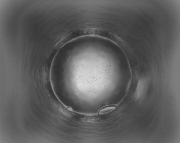 X0000081350661200701111456