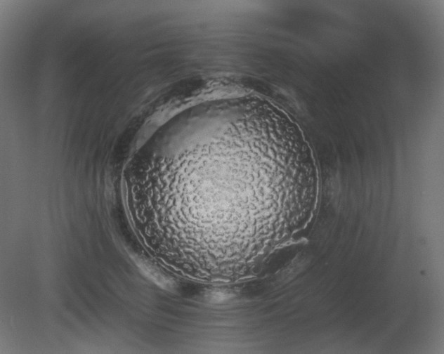X0000081350662200701111456