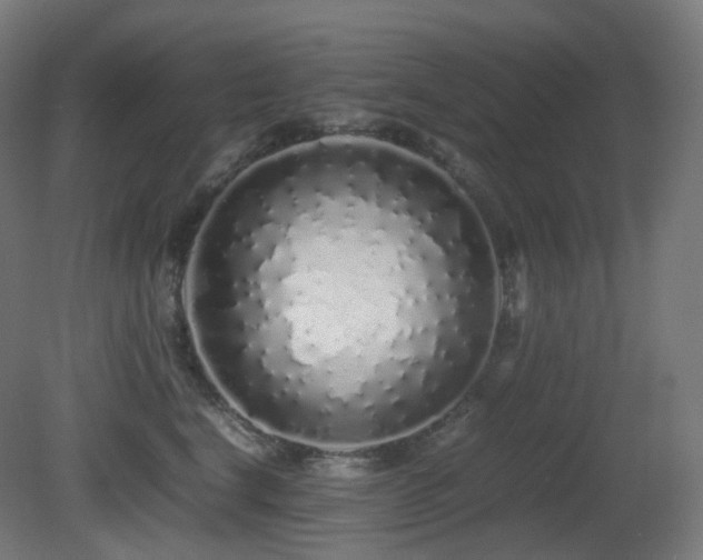 X0000081350664200701111456