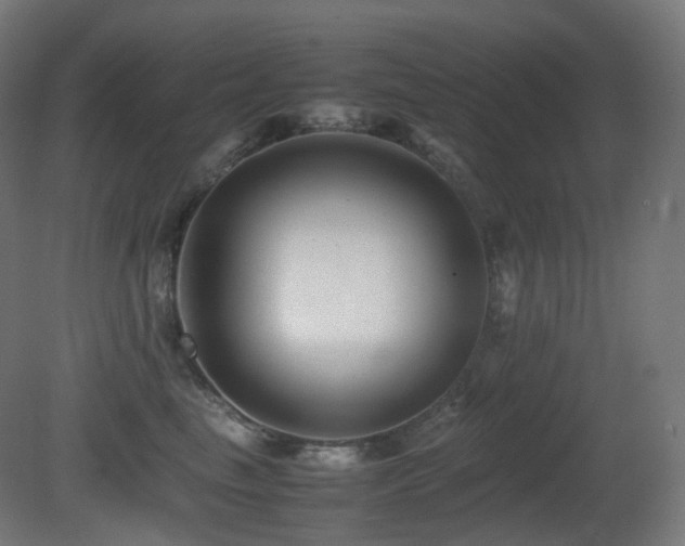X0000081350665200701111456