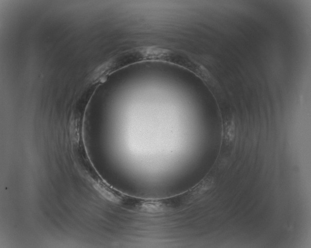 X0000081350666200701111456