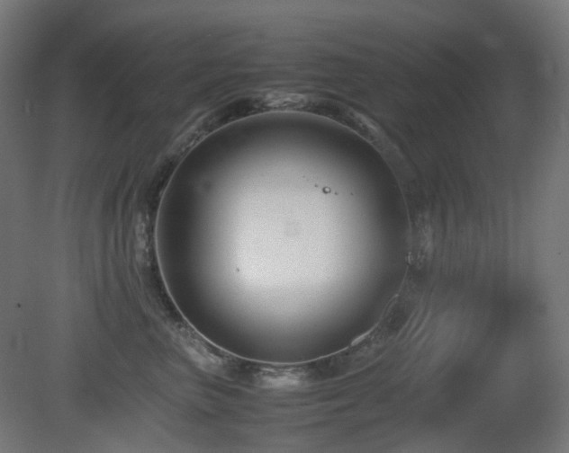 X0000081350667200701111456