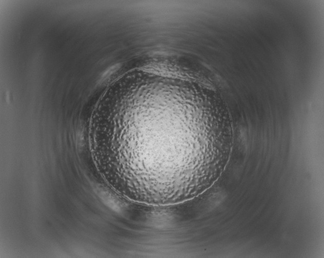 X0000081350668200701111456