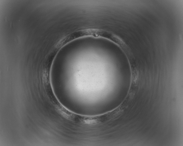 X0000081350669200701111456