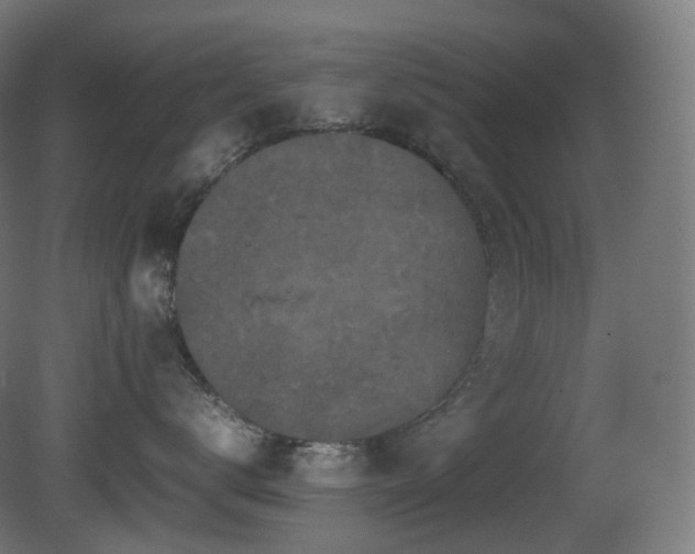 X0000081350672200701111456