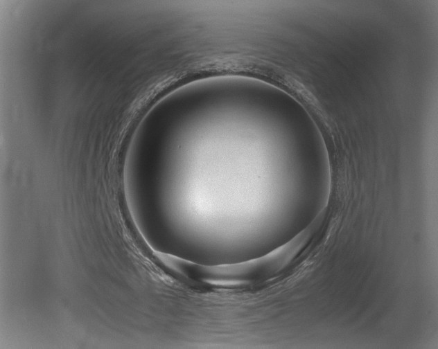 X0000081350673200701111456