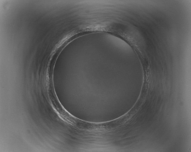 X0000081350674200701111456