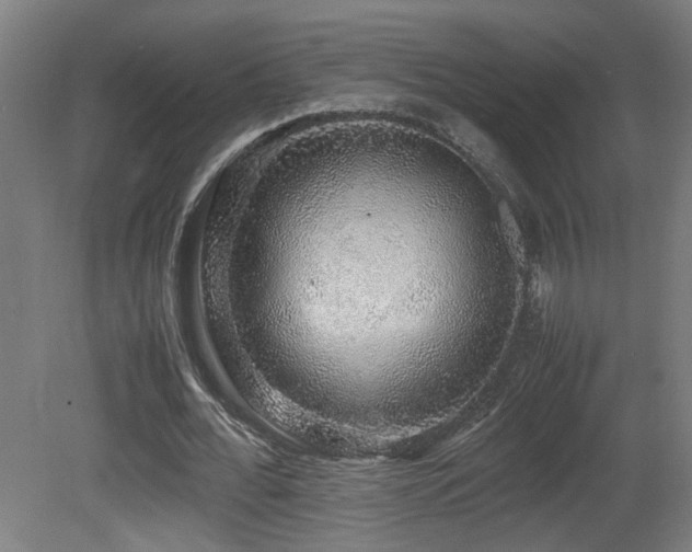 X0000081350676200701111456