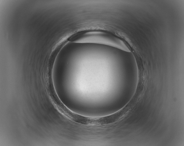 X0000081350677200701111456