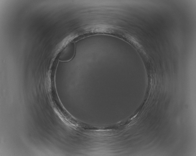 X0000081350678200701111456